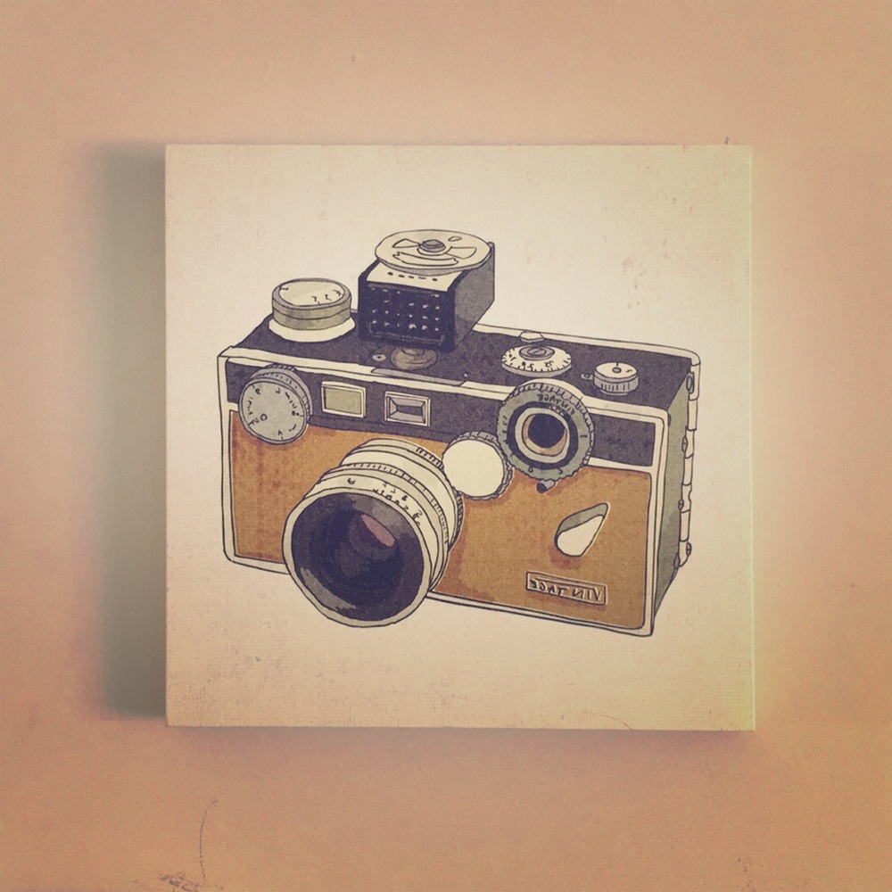 Picture